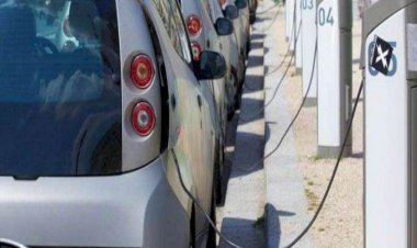 Buy Electric Vehicle Before July 31, This State Is Going To End The Subsidy Policy