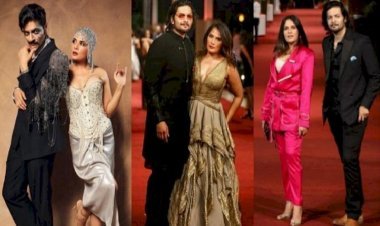 Ali Fazal And Richa Chadha Will Host A Grand Reception In Mumbai After Their Wedding! I Will Take Seven Rounds In September