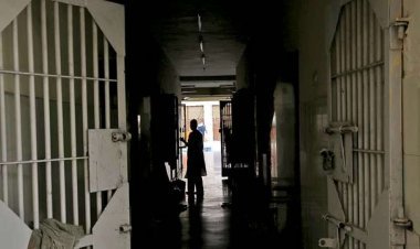 11 convicts serving life sentence released, came out of jail under state government's amnesty scheme