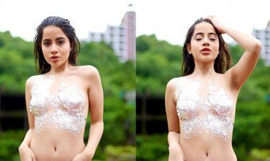 'If not your own then at least the respect of the rest of the girls...', Urfi got the photoshoot done by sticking only silver varakh