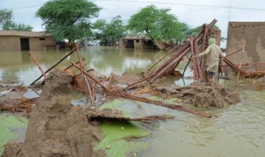 More than half of Pakistan submerged in floods; Declared national emergency