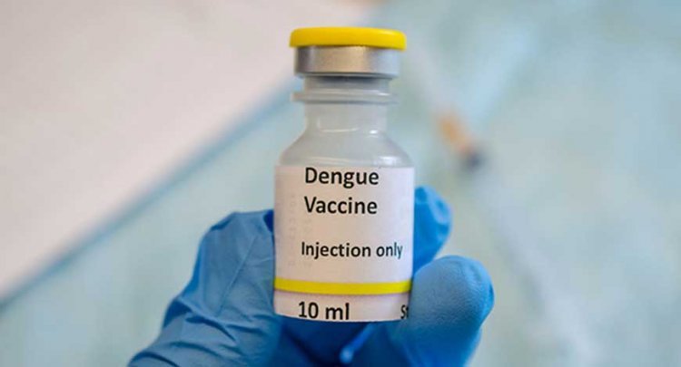 India will also have a vaccine against dengue, this company is going to do Phase-1 trial