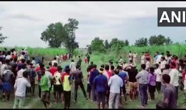 Work of 'man-eating tiger' of Bihar is done, seeing the footprints, expert shooters riding on elephants piled up like this