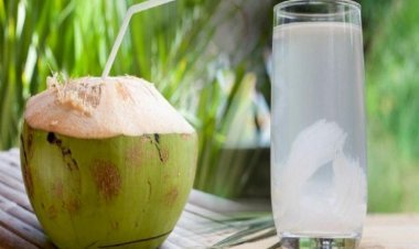 Skin Care Tips: Coconut Water Has Many Benefits, Problems Related To Hair And Skin Will Be Removed