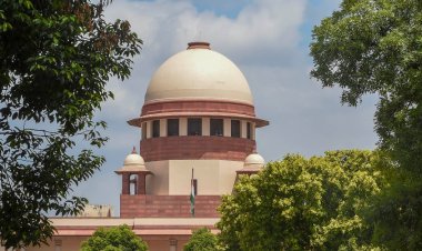 Firecrackers will continue to be banned in Delhi, Supreme Court rejects BJP leader's petition, said- let people breathe