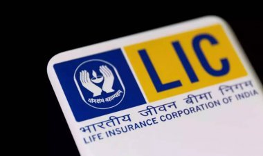 Big loss in LIC's stock so far? Now the company will benefit investors through bonus shares and dividends          