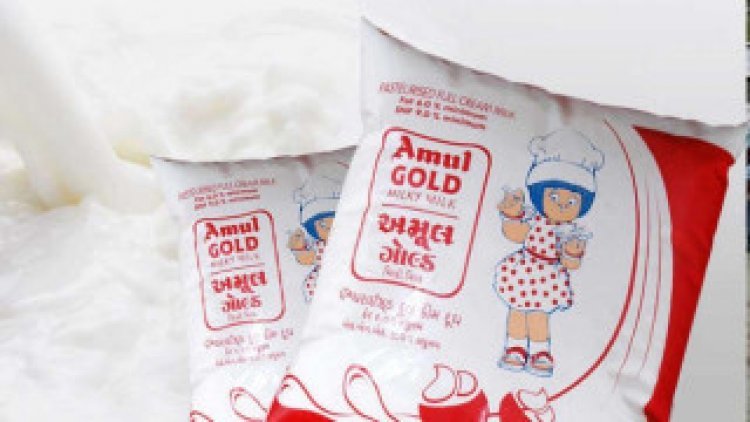 Inflation shock in the festive season, after Amul, now Mother Dairy has also increased the price of milk