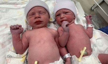 30 years old frozen embryo days passed, twins came into the world