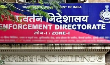 Another big action by ED in Delhi Liquor Policy case, Amit Arora, close to Sisodia arrested