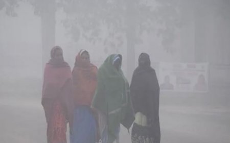 Outbreak of fog and cold wave from Delhi to UP-Bihar, school opening time changed