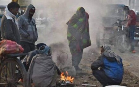 North India shivering due to severe cold, forecast of mercury falling up to 4 degrees in Delhi, cold wave alert issued