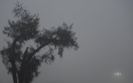 Last December was the hottest in India in 122 years, breaking previous records for maximum temperature