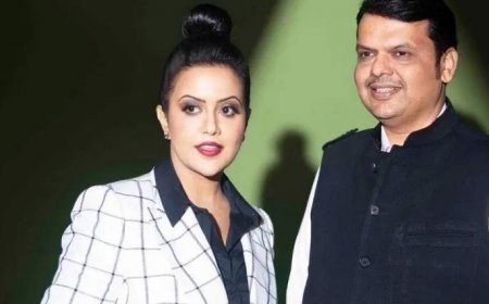 Reaction of Deputy CM Devendra Fadnavis on wife's new song, Amruta Fadnavis said - afraid of trolling...