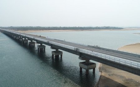 Stampede on Odisha's longest bridge, 1 killed, several injured