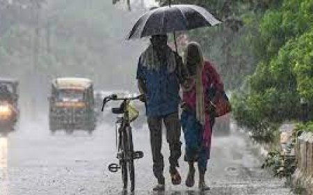 Cold increased again in North India: It will rain in these states including Delhi, IMD alert