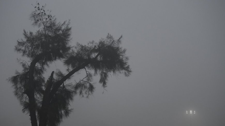 Last December was the hottest in India in 122 years, breaking previous records for maximum temperature