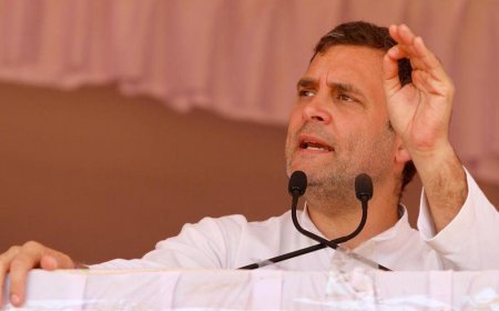 'Can't erase the voice of democracy', Rahul Gandhi said on removal of statement from Lok Sabha