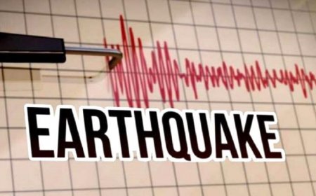 Earthquake tremors in Jammu and Kashmir's Katra in the morning, magnitude 3.6 on Richter scale