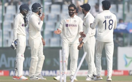 IND vs AUS: Australia trapped in Jadeja-Ashwin spin, India will have to score only 115 runs to win