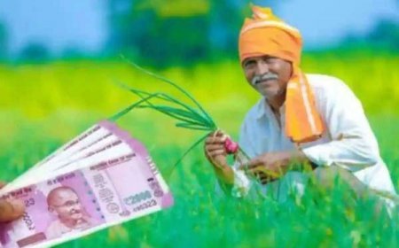 13th installment of PM Kisan Samman Nidhi released, faces of farmers blossomed with happiness