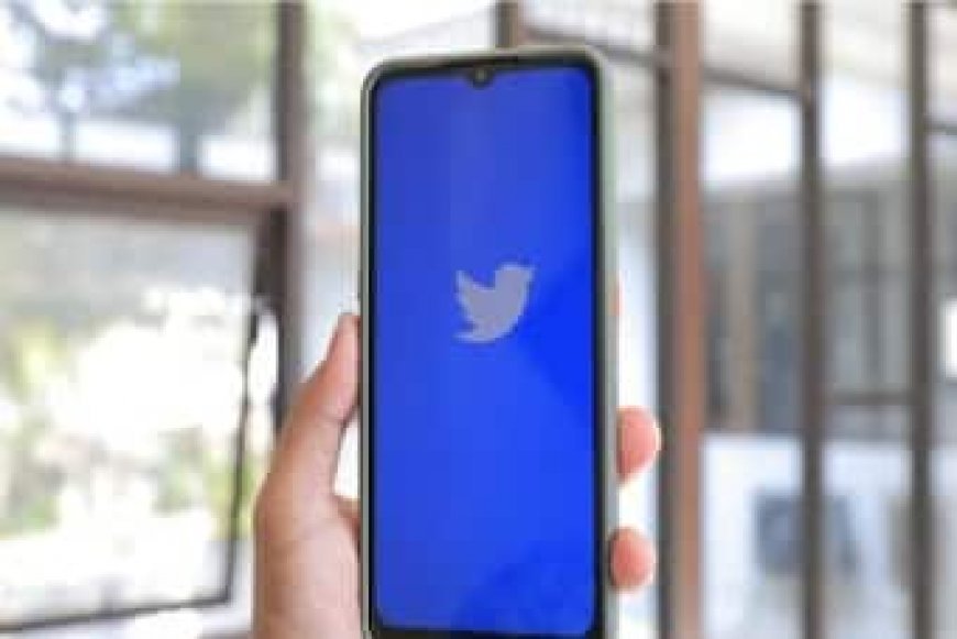 Twitter Faces Further Delay in Launching Its Paid API Platform Due to Technical Issues