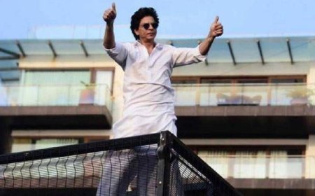 Mumbai Police advised Shah Rukh Khan in the Mannat intrusion case, said- 'Get the bungalow's security audit done'