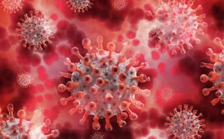 H3N2 virus wreaks havoc after Corona: 6 deaths so far, know treatment and prevention