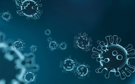 Cases of H3N2 virus increased rapidly in Delhi hospitals, hospitals ready for emergency