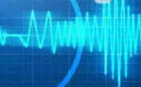 Earthquake tremors in New Zealand, intensity measured 7.1 on Richter scale, tsunami warning issued