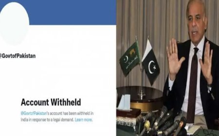 Pakistan government's official Twitter account banned in India, know why this action happened