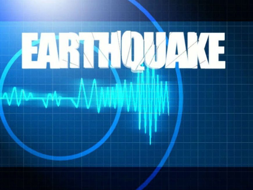 5 magnitude earthquake jolts Nicobar Islands, no loss of life or property