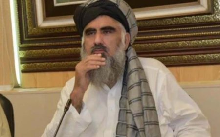 Pakistan's Union Minister died in a road accident, he was driving the car himself, 5 people arrested          