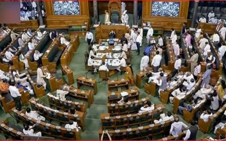 Delhi Services Bill Passed in Lok Sabha Amid Fierce Objection by Opposition Parties