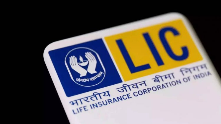 Big loss in LIC's stock so far? Now the company will benefit investors through bonus shares and dividends          