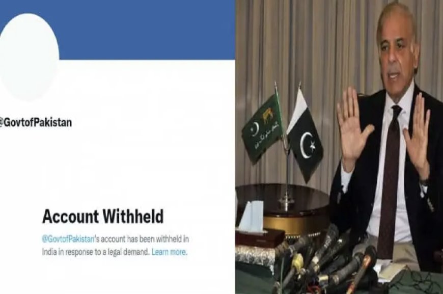 Pakistan government's official Twitter account banned in India, know why this action happened