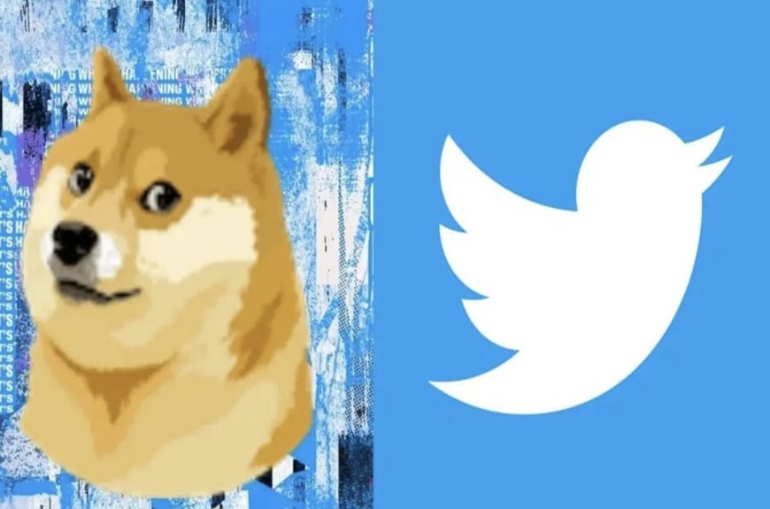 Elon Musk changed the logo of Twitter: by flying a bluebird! Doge's picture posted, users surprised