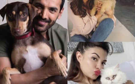 रवीना, जॉन, जैकलीन ने भीषण गर्मी में जानवरों के लिए साफ पानी रखने का किया आग्रह