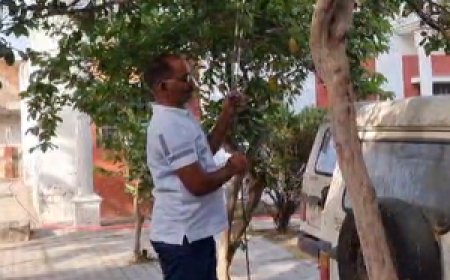 अमेठी में उम्मीदवार घोषित नहीं होने पर कांग्रेस ब्लॉक अध्यक्ष ने किया आत्महत्या का प्रयास