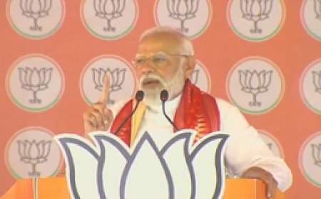 दिल्ली में होने वाले लोकसभा चुनाव के लिए भाजपा के स्टार प्रचारकों की लिस्ट जारी