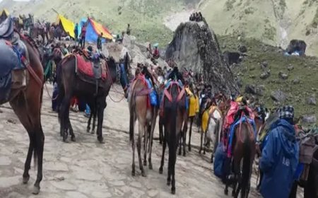 श्री केदारनाथ धाम यात्रा मार्ग पर घोड़े खच्चरों के संचालन पर रहेगी पैनी नजर