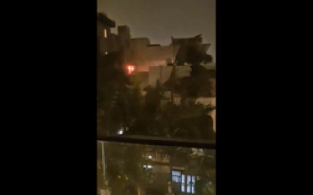 दिल्ली और एनसीआर में धूल भरी आंधी और बारिश, पेड़ उखड़े, यातायात प्रभावित