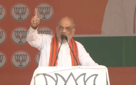 रायबरेली और अमेठी दोनों सीटें भाजपा की झोली में जाने वाली है : अमित शाह