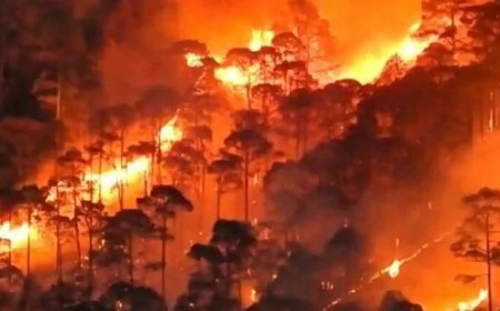 नैनीताल स्थित केलाखान कैंट से लगे जंगल में भीषण आग लगी मौके में पहुंची दमकल विभाग के कर्मचारी 