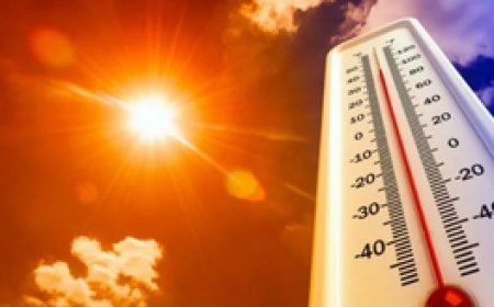 राजस्थान में भीषण गर्मी से 8 लोगों की मौत, 48.8 डिग्री तापमान के साथ बाड़मेर देश में सबसे गर्म