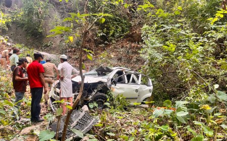 नैनीताल में दर्दनाक हादसा: पर्यटकों की कार खाई में गिरी, 12 घायल