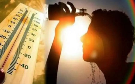 राजस्थान में हीटवेव का कहर, 12 से ज्यादा मौतें, लापरवाह 12 अधिकारियों को नोटिस