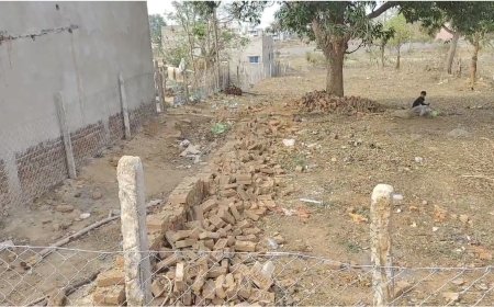 बलरामपुर में शासकीय जमीन पर भूमाफियाओं का कब्जा, अधिकारियों की मिलीभगत!