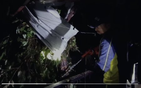 नैनीताल में अचानक बारिश और ओलावृष्टि से मकान के ऊपर गिरा पेड़ घर के लोग बाल बाल बचे ।