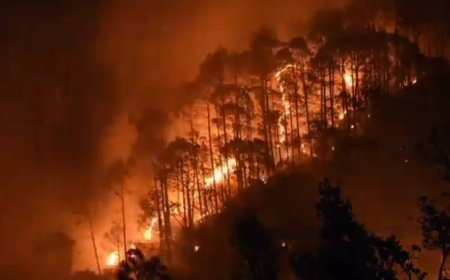 उत्तराखंड: भवाली के जंगल में आग, गैस गोदाम को खतरा