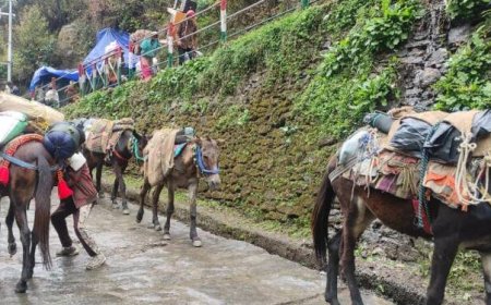केदारनाथ धाम यात्रा में घोड़ा-खच्चर संचालकों द्वारा यात्रियों को ढोने से निर्माण सामग्री की आपूर्ति में बाधा